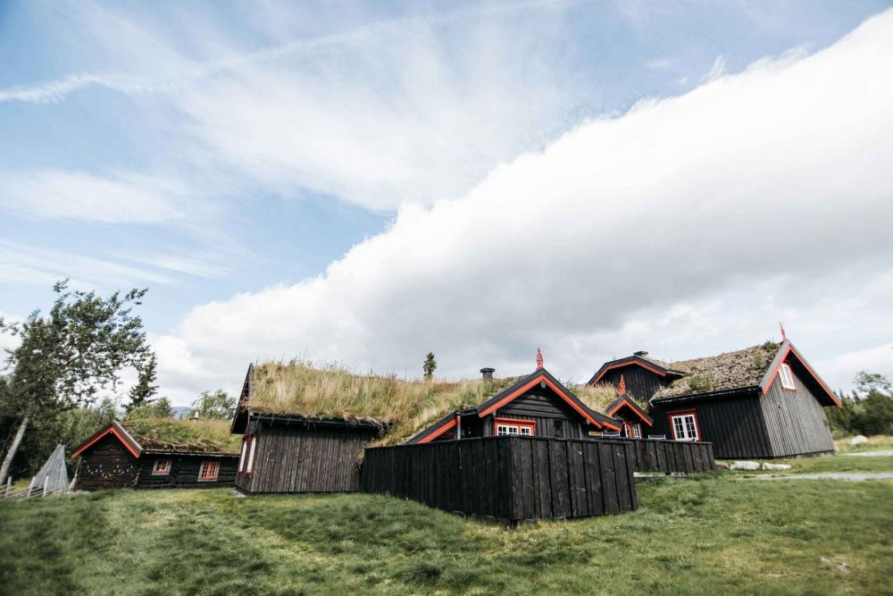 Sprøytesåing for rask og effektiv etablering av gress