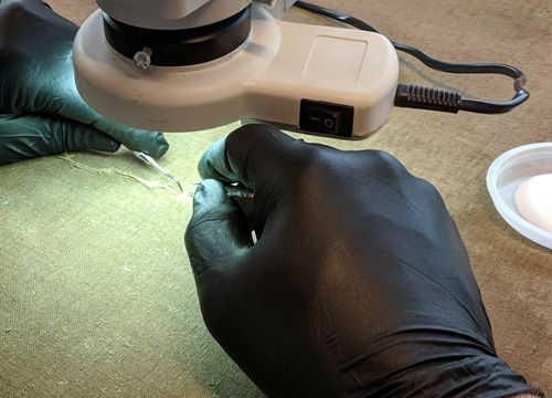 Malerikonservering: hvordan ta vare på malerier for fremtiden
