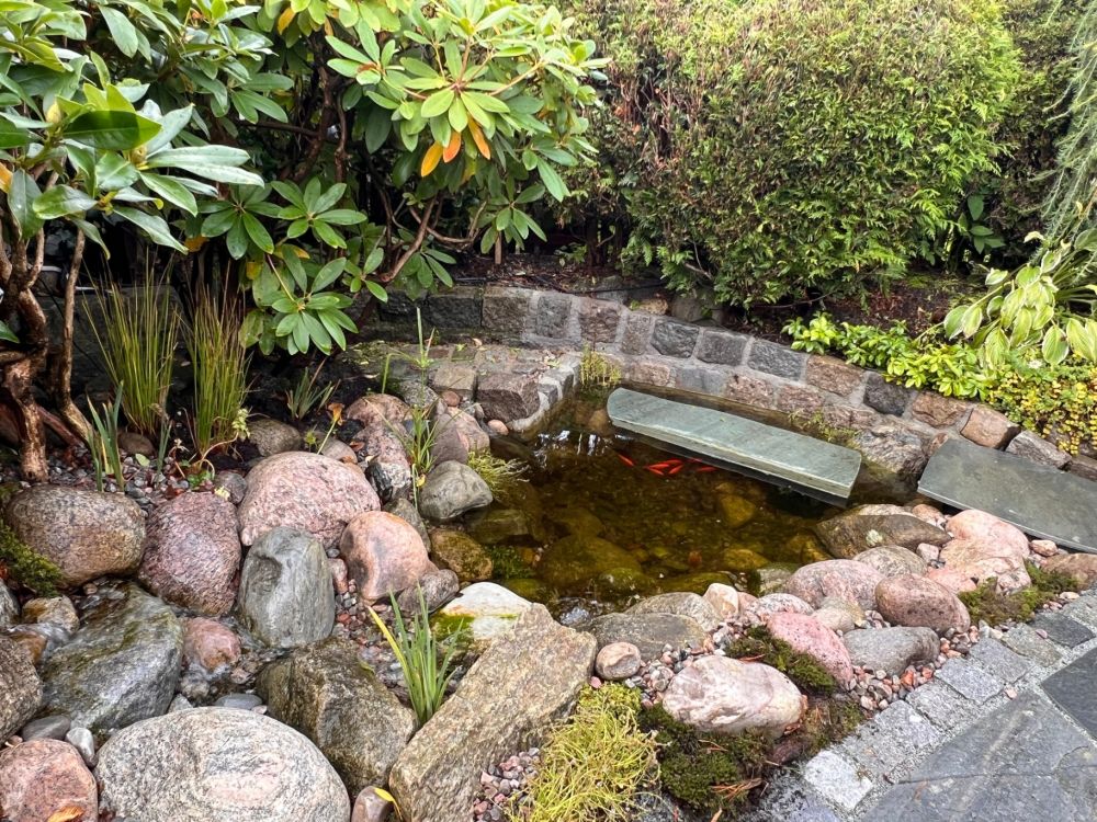 Hagedammer – naturlig blikkfang i hagen